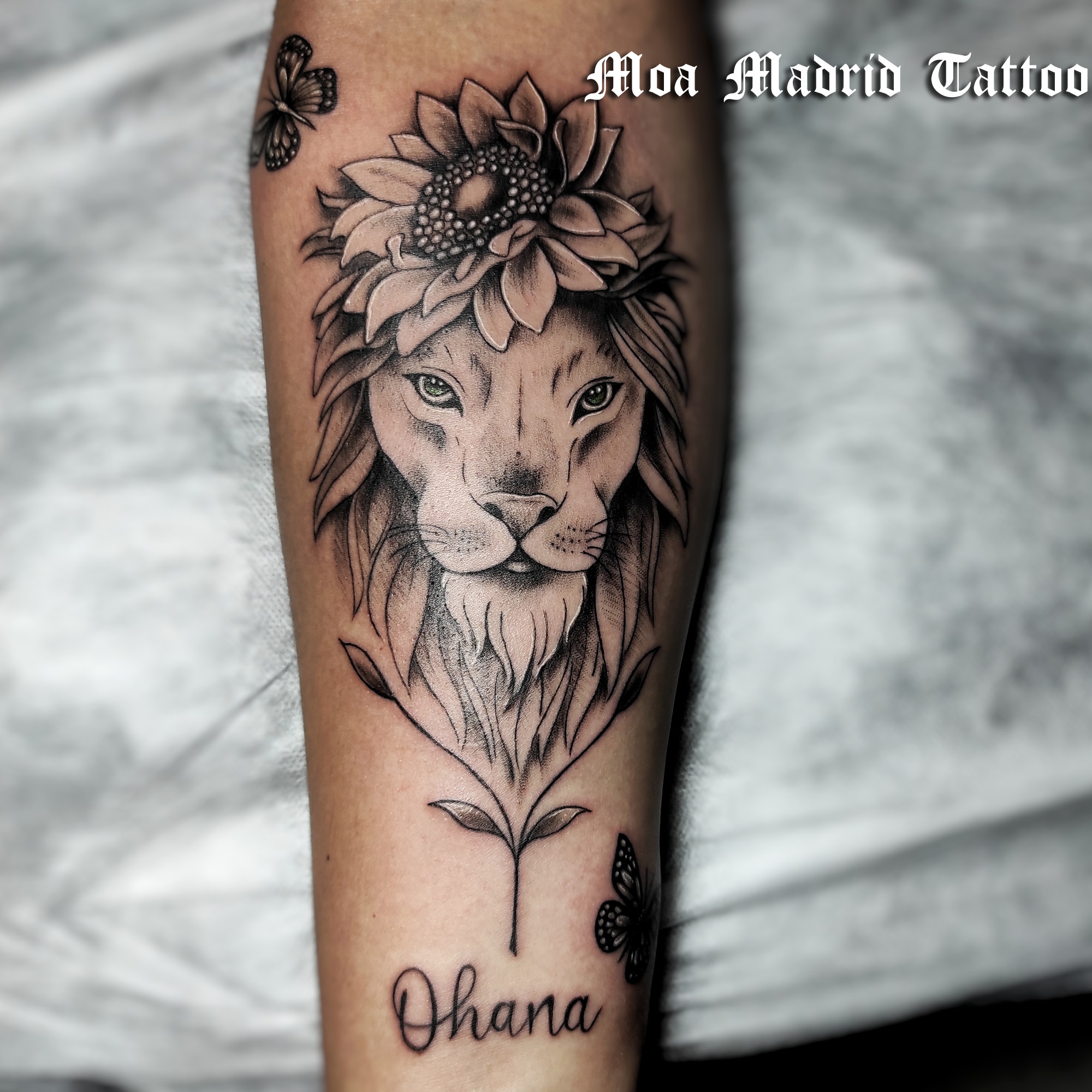 Tatuaje con león, flor girasol y mariposas en antebrazo mujer