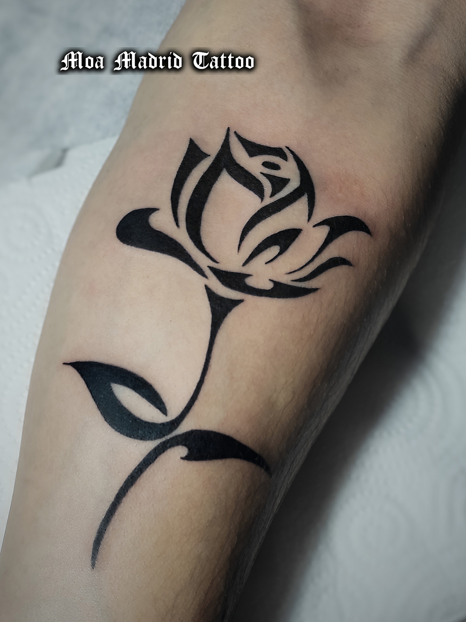 Tattoo de silueta de rosa de líneas negras